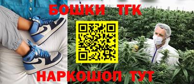индика Ирбит