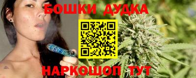 индика Ирбит