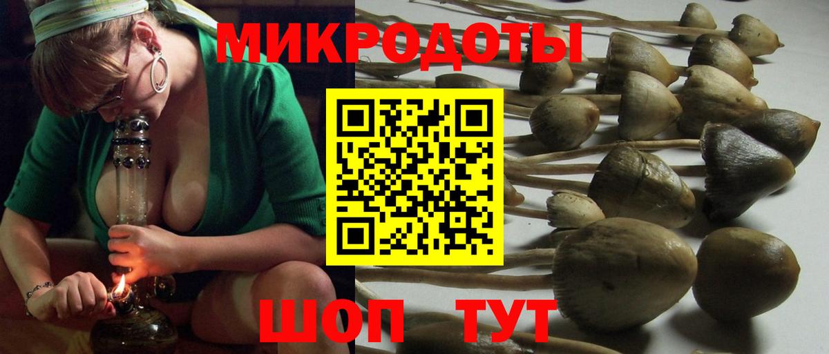 Кандалакша  Псилоцибиновые грибы GOLDEN TEACHER  Вход с VPN 