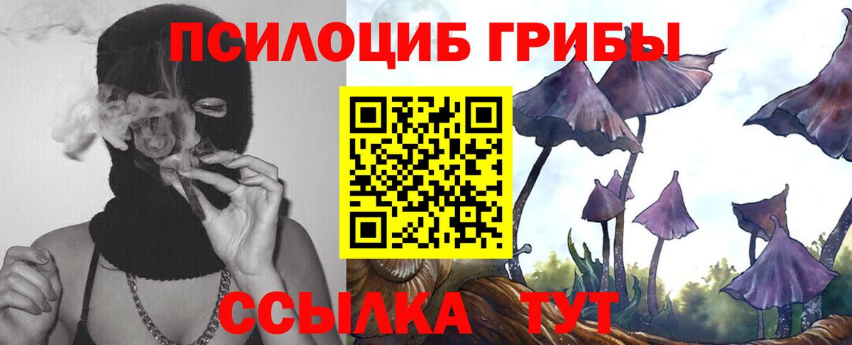 Галлюциногенные грибы ЛСД Кандалакша
