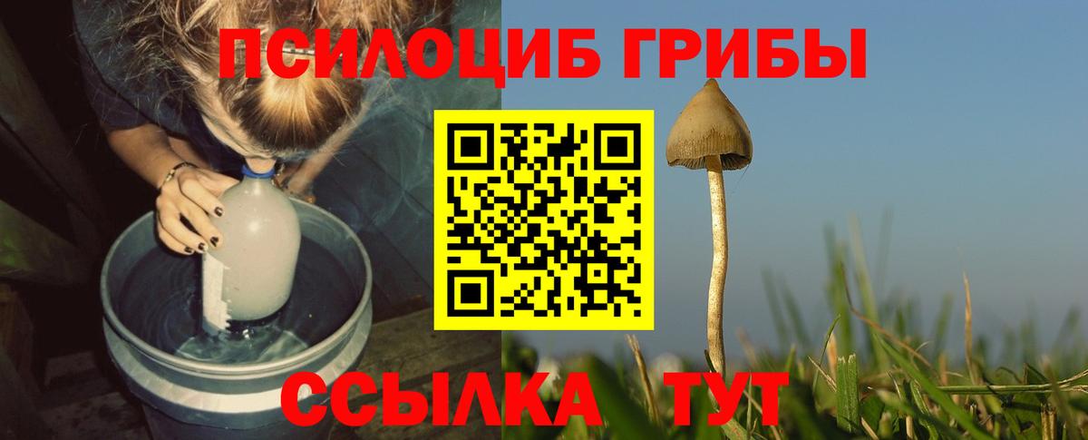 Кандалакша  Гашиш  Вход с VPN  Меф МЯУ МЯУ  Каннабис  Меф МЯУ МЯУ   Кокаин  ГАШИШ  Бошки Шишки 